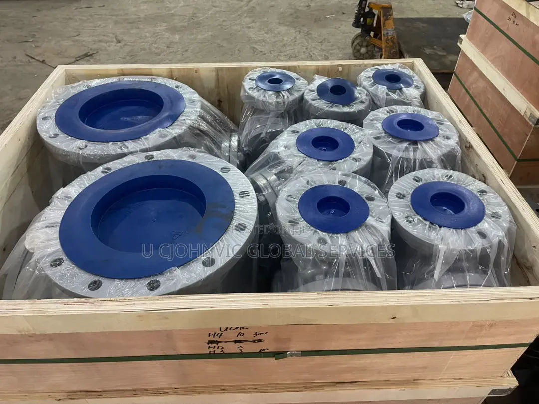 10" X150 Check Valve