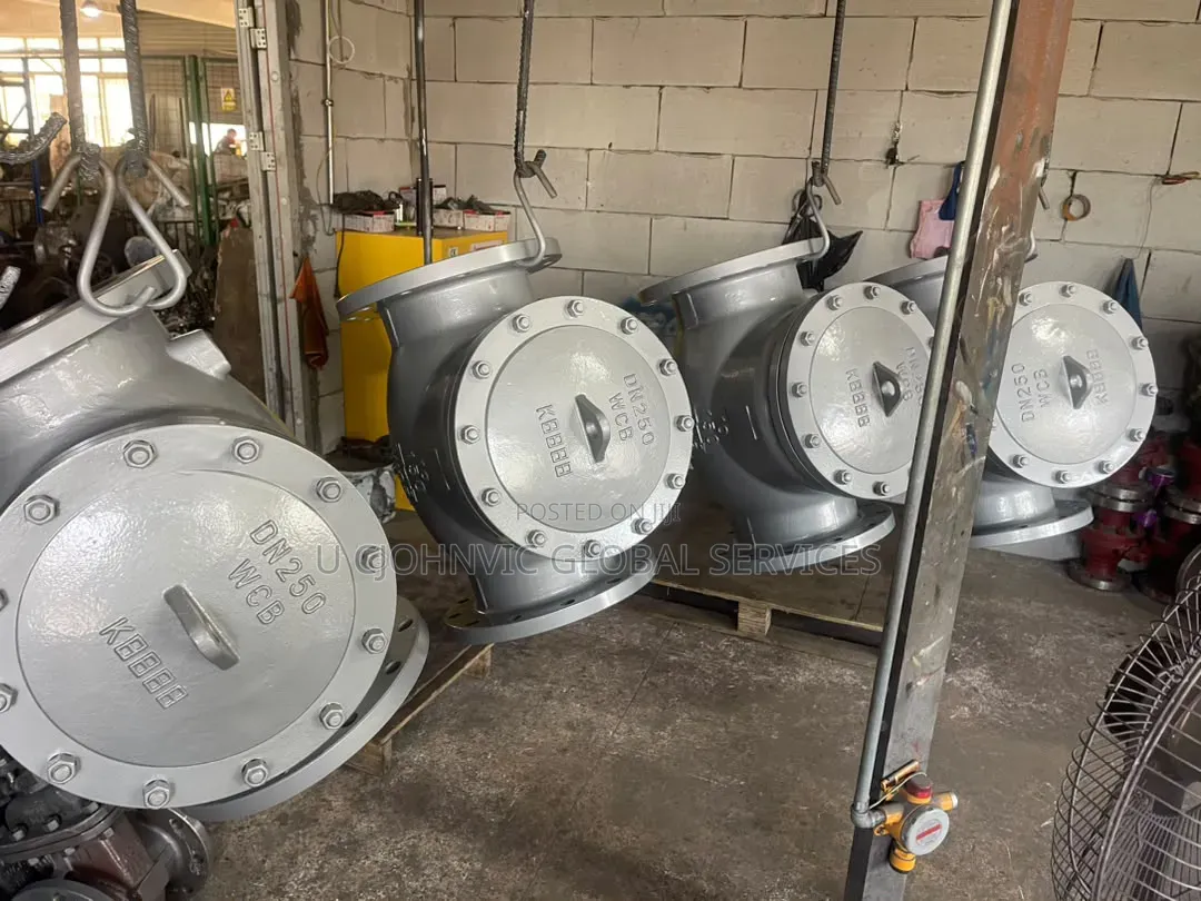 10" X150 Check Valve