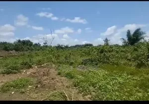 Affordable Full Plot in Ikorodu for Sale