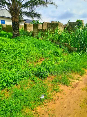 Half Plots of Land for Sale in Tipper Gar Akute With Granite and Sand