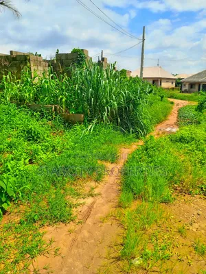 Half Plots of Land for Sale in Tipper Gar Akute With Granite and Sand