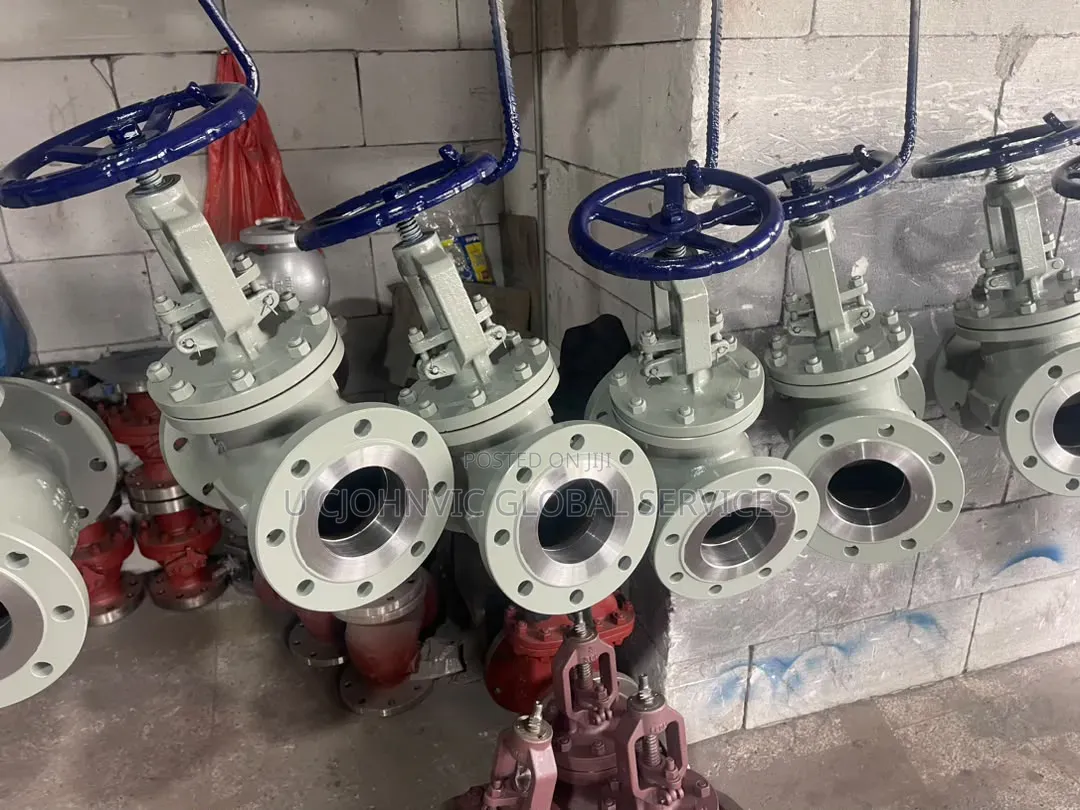 4 X 150 Globe Valve