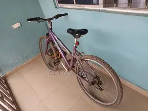Sports Bicycle