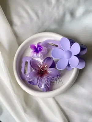 Hair Clips