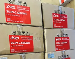 Sako 2.56kwh 24v Lithium Battery