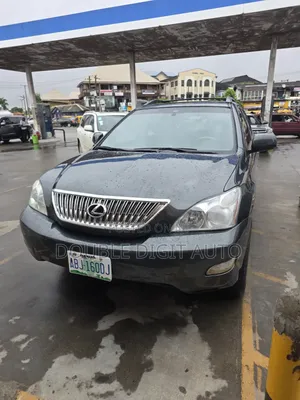 Lexus RX 330 2006 Gray