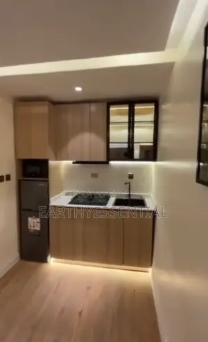 Furnished 1bdrm Apartment in Surulere for sale