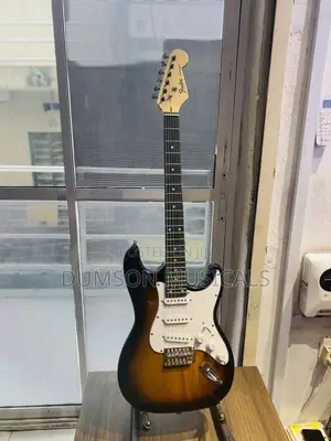 Professional Electric Lead Guitars