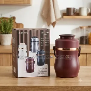 Ailliin Thermal Food Flask