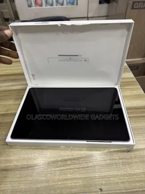 Samsung Galaxy Tab S9 FE 256 GB Gray