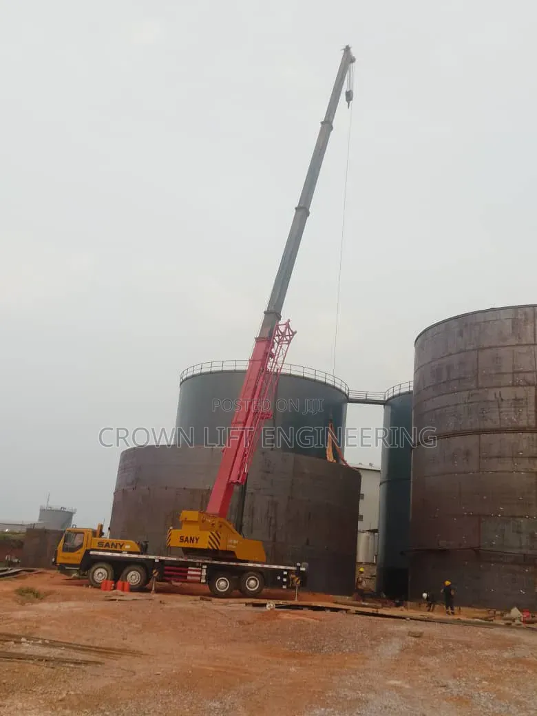 100, 80 50 Tons Crane for Hire