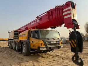 100, 80 50 Tons Crane for Hire