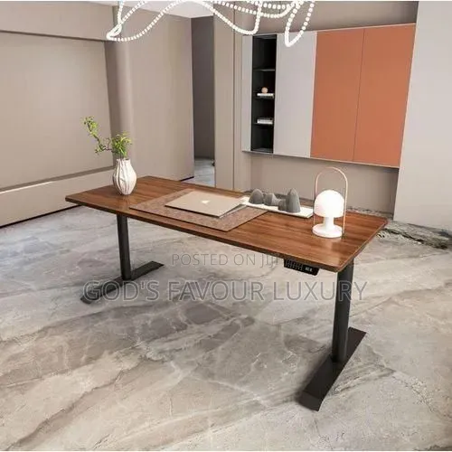 Electric Adjustable Sit to Stand Adjustable Desk