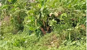 Prime Commercial Land for Sale Along Lagos–Badagry Expressway, Festac