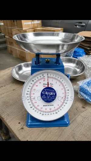 20kg Camry Analog Scale