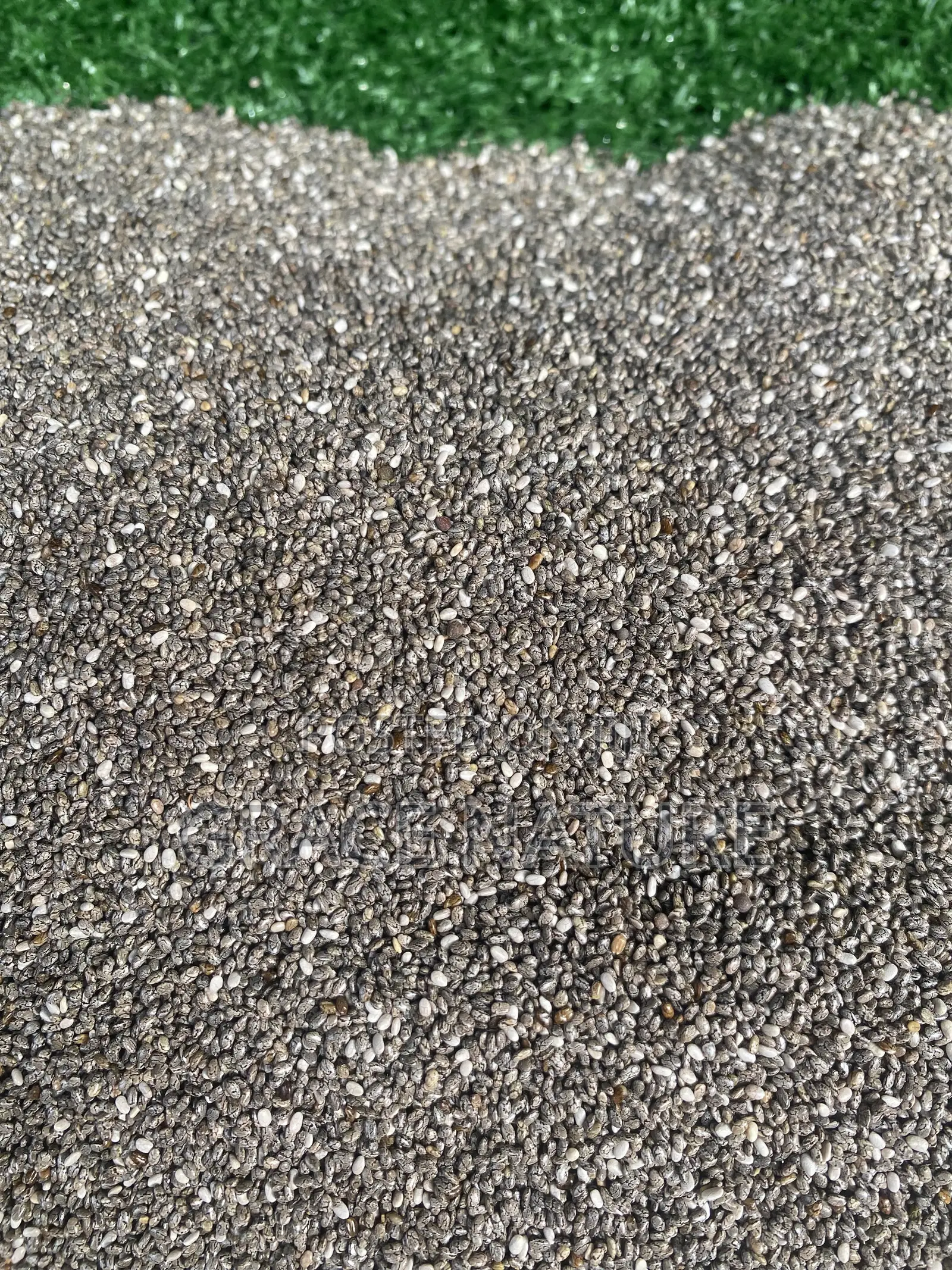 Chia Seeds