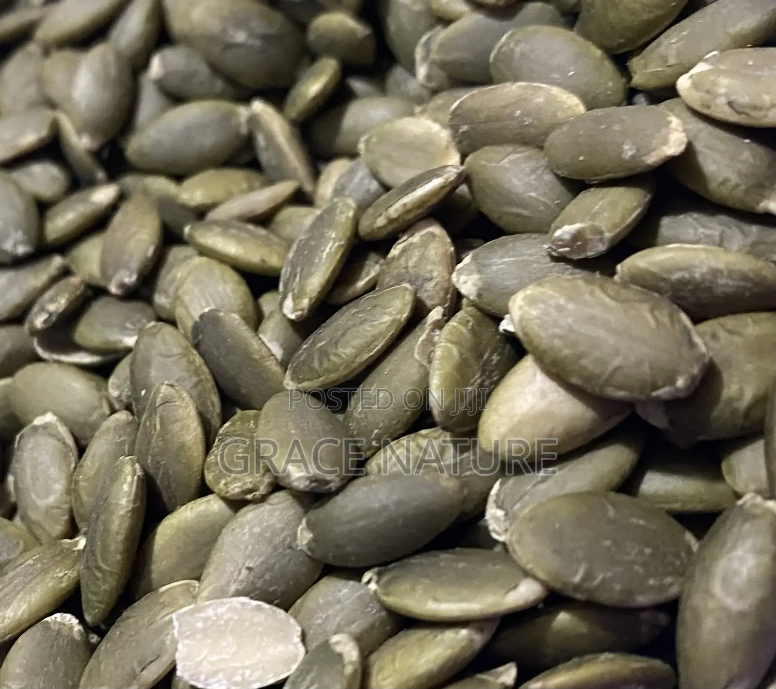 Pumpkin Seeds