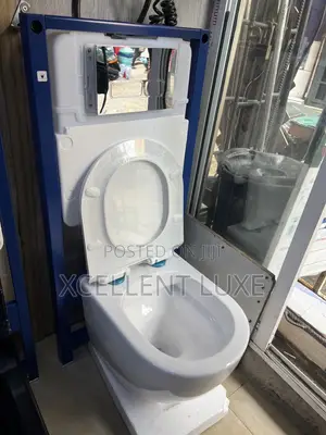 Wall Hung Wc With Concealed Tank ( British Standard)