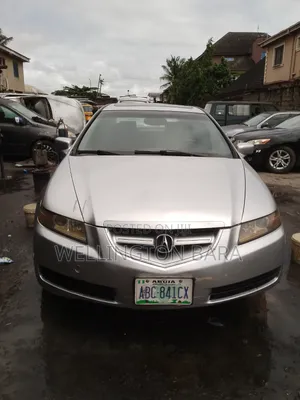 Acura TL 2005 Gray