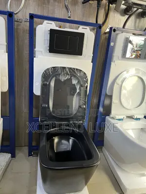 Matt Black Wall Hung Wc With Concealed Tank