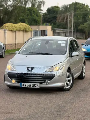 Peugeot 307 2008 Silver