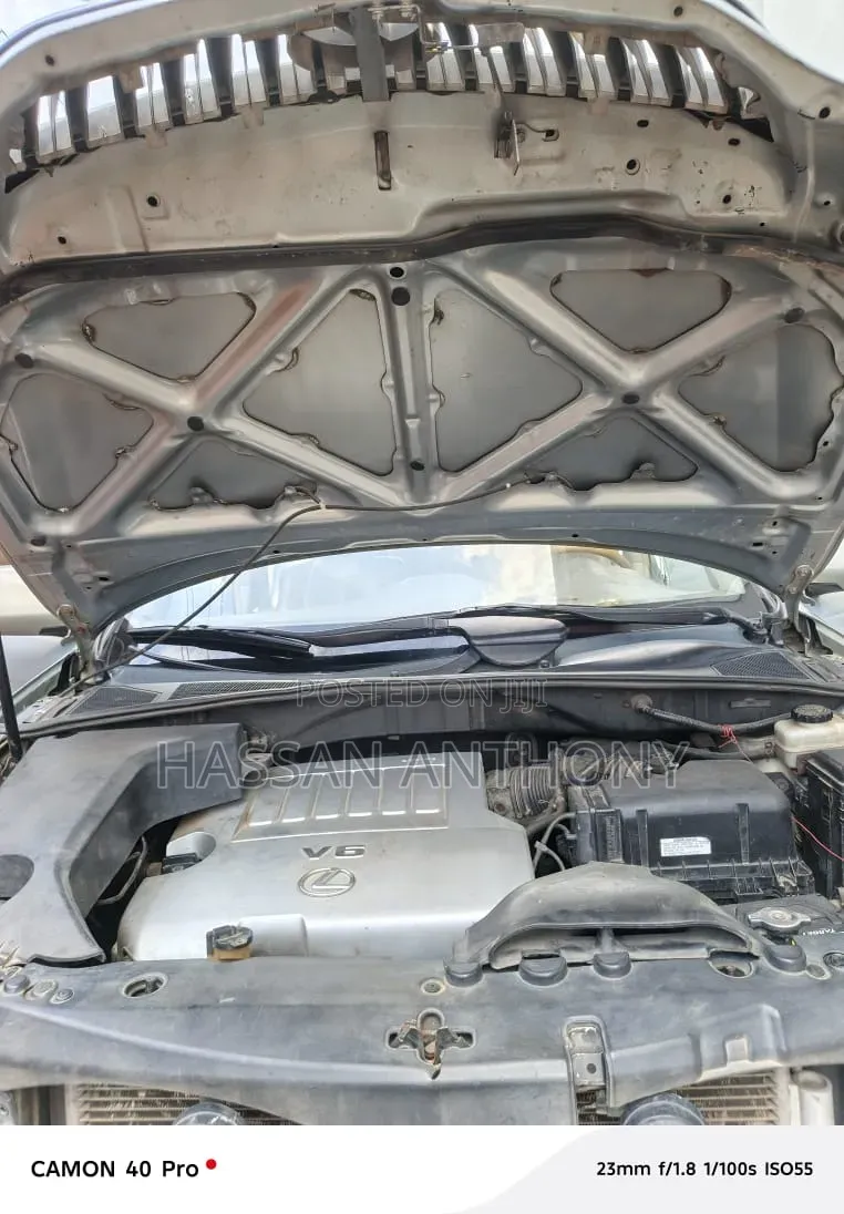 Lexus RX 2009 Silver
