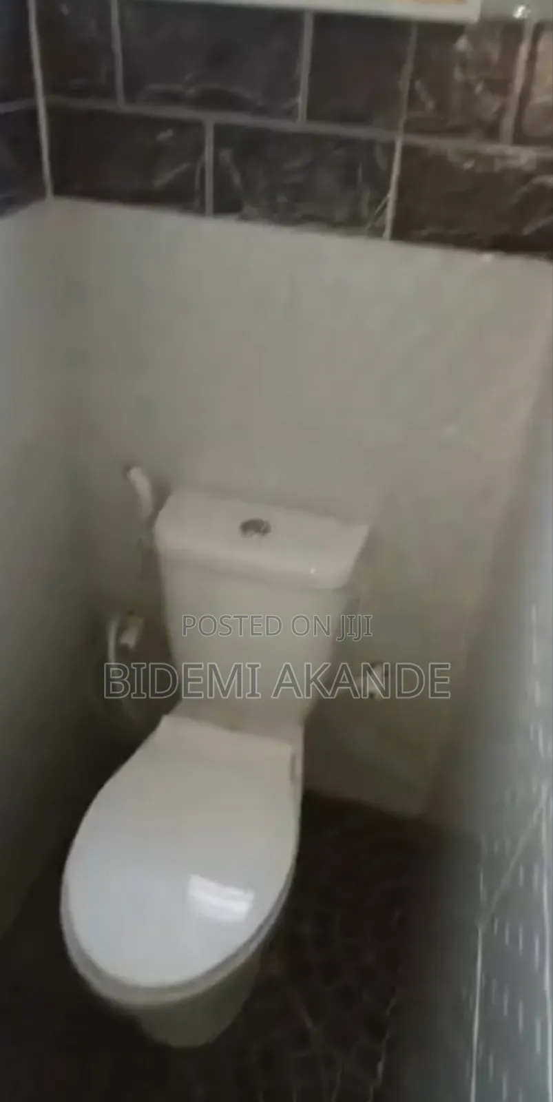 Mini Flat in Orimerunmu, Obafemi-Owode for rent