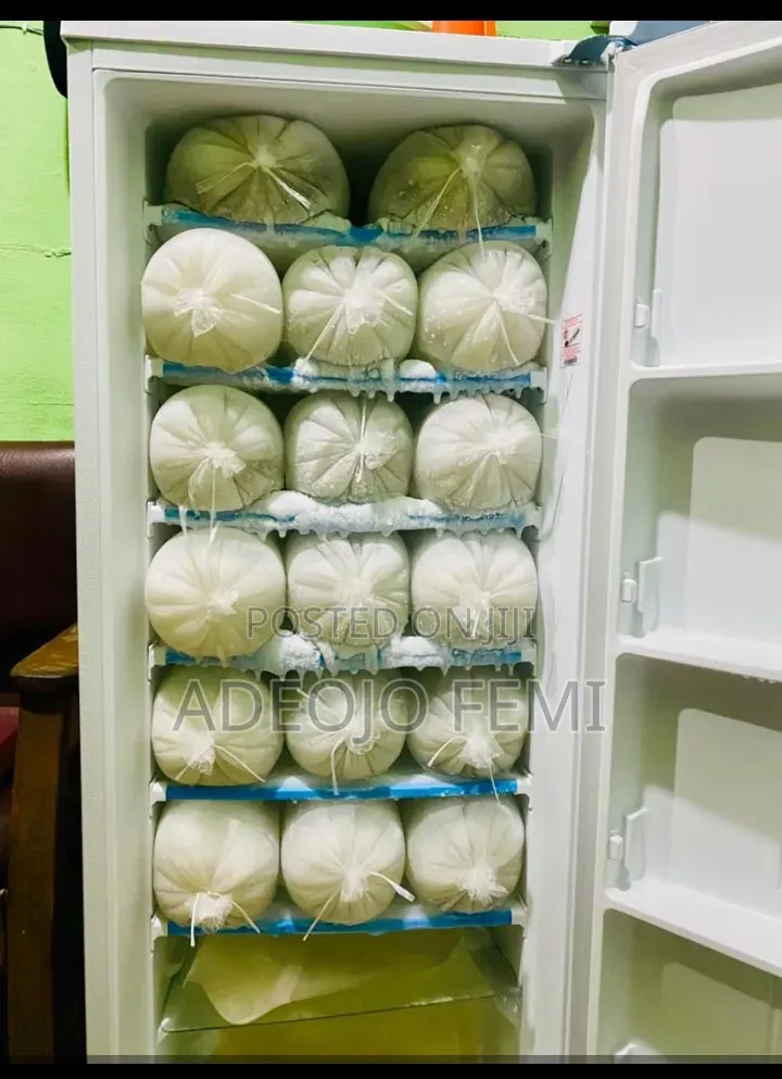 Lg Upright Ice Block Machine/Freezer