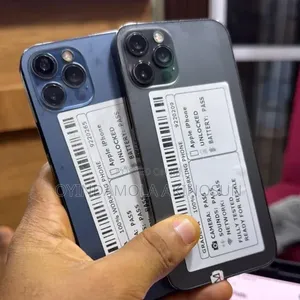Apple iPhone 12 Pro Max 128 GB Gray