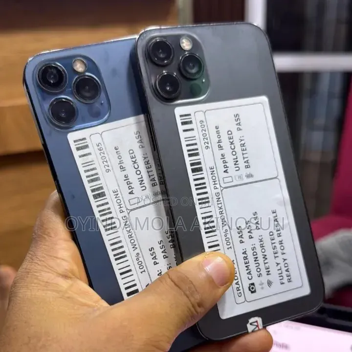 Apple iPhone 12 Pro Max 128 GB Gray