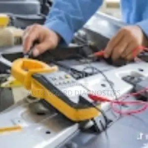 Auto Electrical (Jananes America)