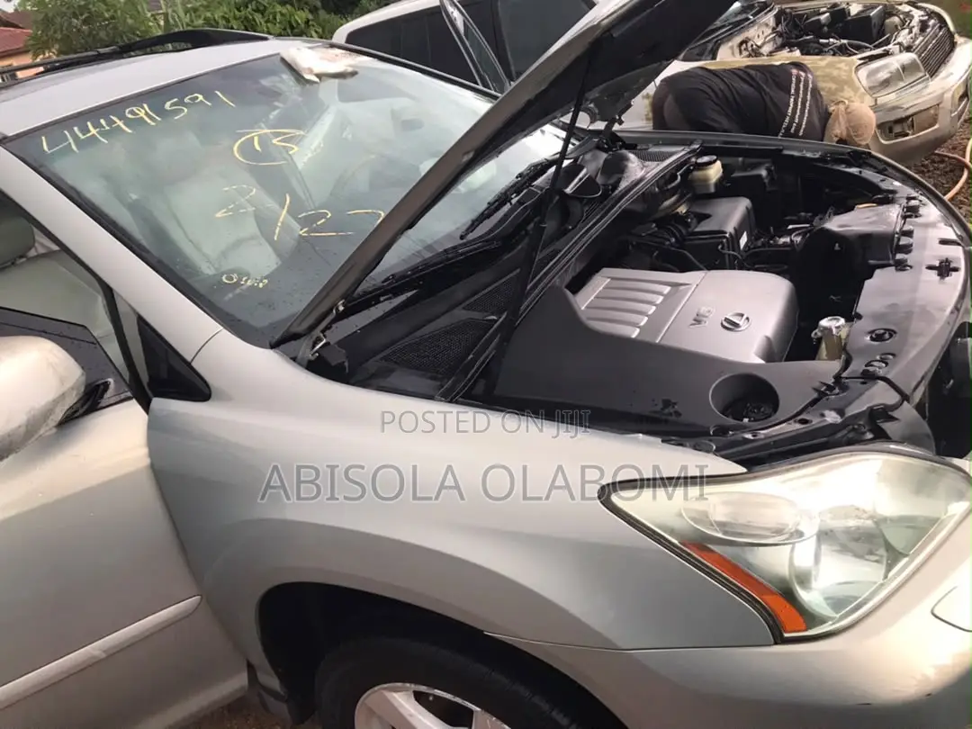 Lexus RX 2008 Gray