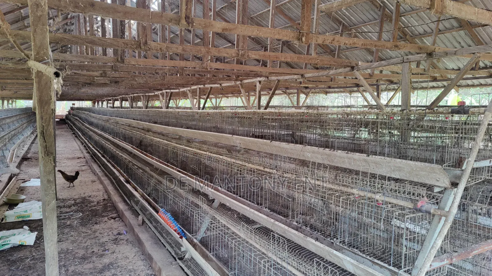 Used Battery Cage