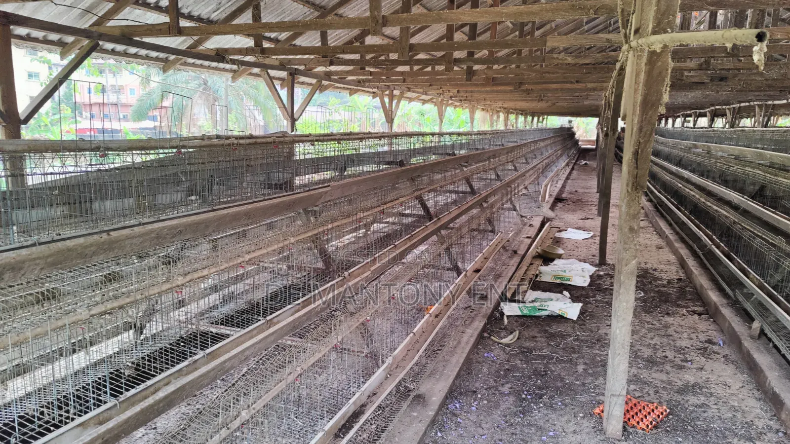 Used Battery Cage
