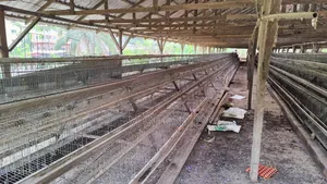 Used Battery Cage