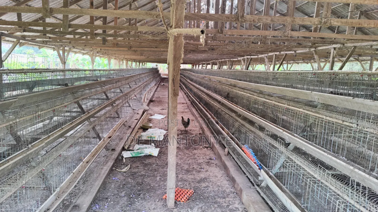Used Battery Cage