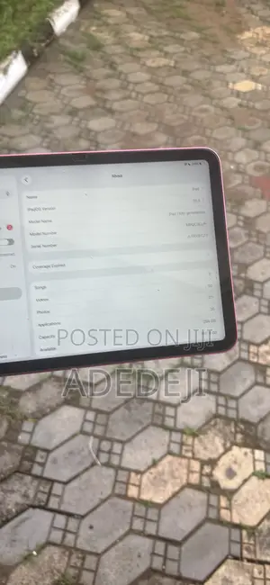 Apple iPad (2022) 256 GB Pink