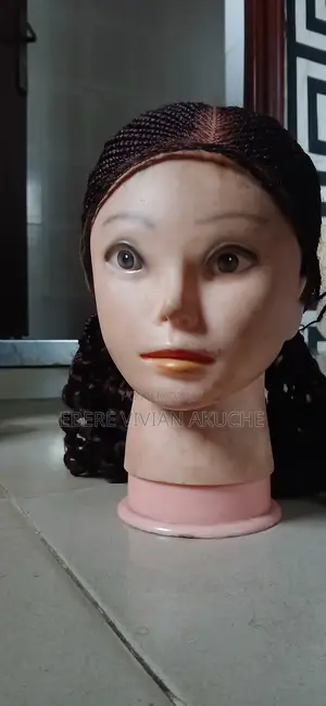 Braided Wig
