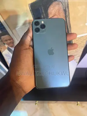 Apple iPhone 11 Pro Max 256 GB Gray