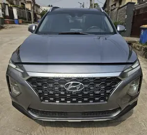 Hyundai Santa Fe 2019 Gray