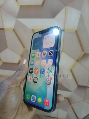 Apple iPhone 13 Pro 256 GB Gray