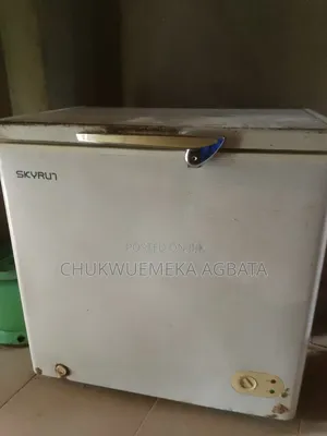 Skyrun Chest Freezer