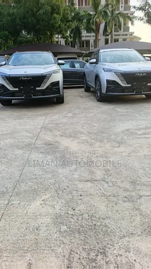 New Dongfeng Captain 2025 Gray