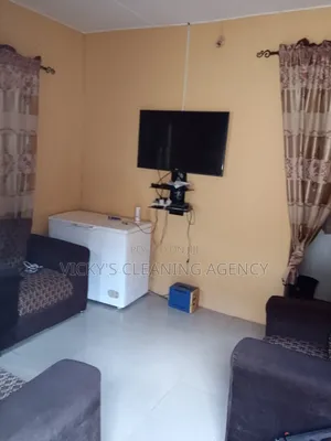 A Standard Cleaning of a Mini Flat
