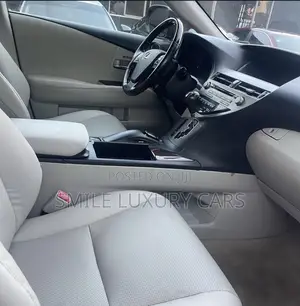 Lexus RX 350 2010 Gray