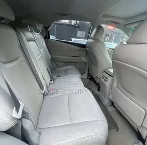 Lexus RX 350 2010 Gray