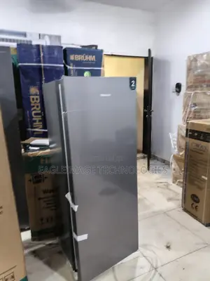 Premium Hisense Rs189dr Upright Freezer for Homes