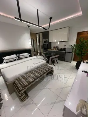 Luxurious Studio Apartment