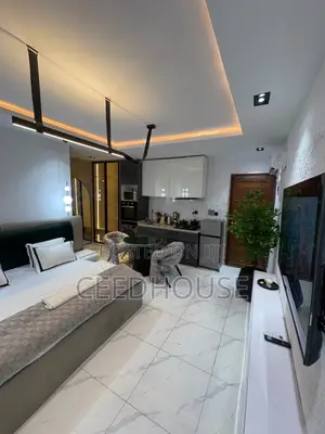 Luxurious Studio Apartment