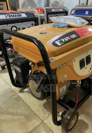 Ps4000e2 4.8kva Original Pasun Key Start Generator